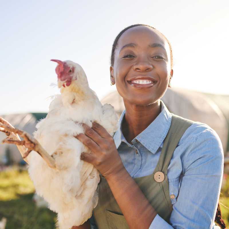 image representing Veterinary Diagnostics