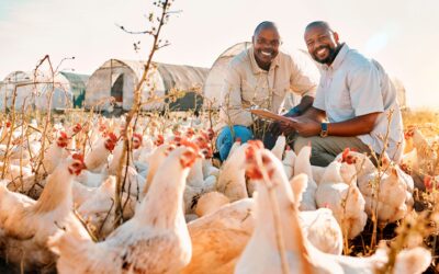 Why Veterinary Diagnostics In South Africa Matter