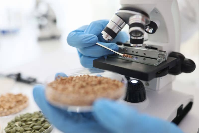 Wet Chemistry Testing for Animal Feed