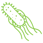 icon of listeriosis