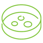 icon of petri dish for airplate analysis