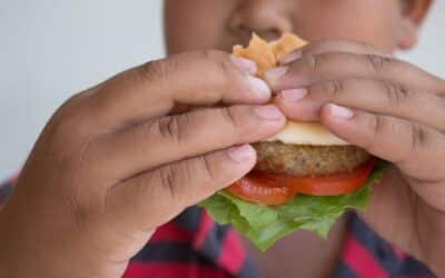 World Food Day 2026: The part of food security we don’t see